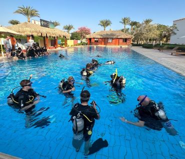 PADI Divemaster Program's photos