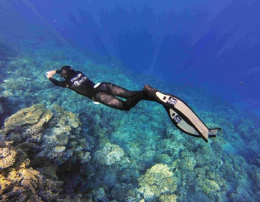 PADI Basic Freediver